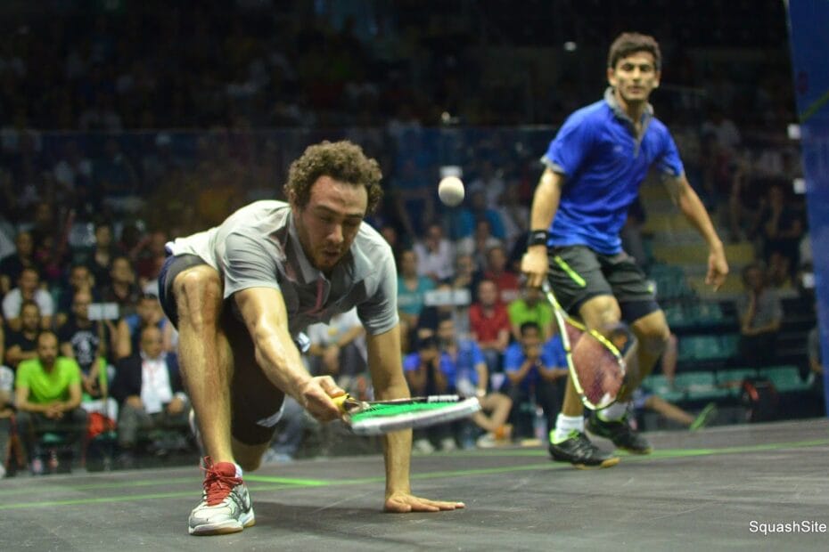 ramy ashour